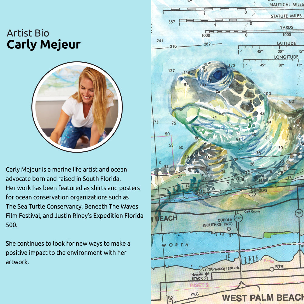 Mouse Pad - Carly Mejeur - Sea Turtle